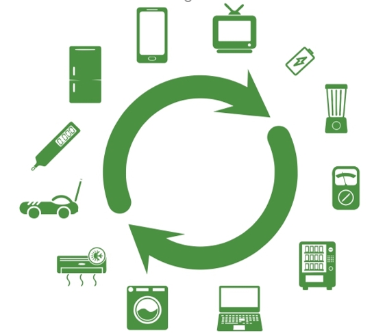 cycle ecology